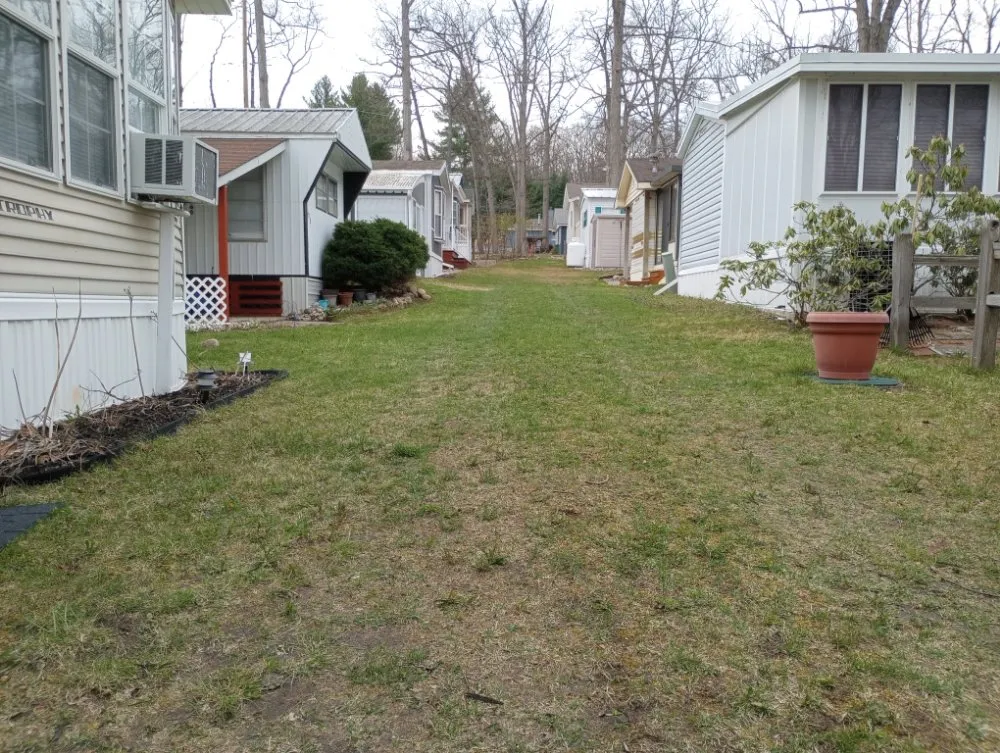 Trusted yard cleanup service in Higgins Lake, MI by A & D's Lake and Lawn Care