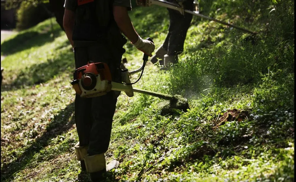 Reliable yard cleanup service experts serving White Bear Lake, MN - A & E Commercial Services