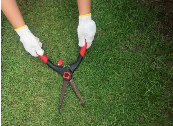 Trusted yard cleanup service in White Bear Lake, MN by A & E Commercial Services