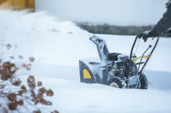 Custom yard cleanup service in White Bear Lake, MN - A & E Commercial Services