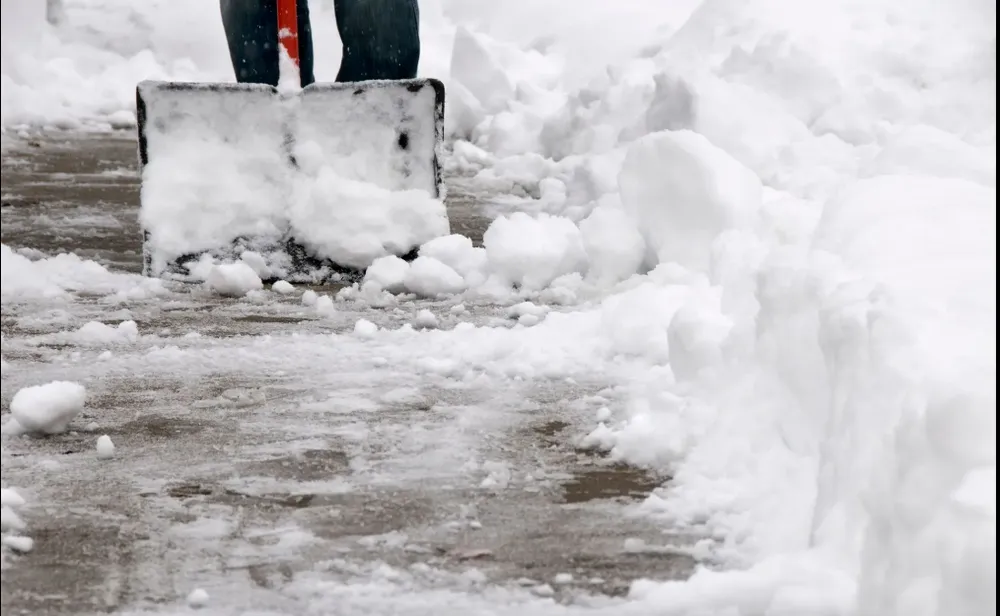 Top-rated landscape design experts serving White Bear Lake, MN - A & E Commercial Services