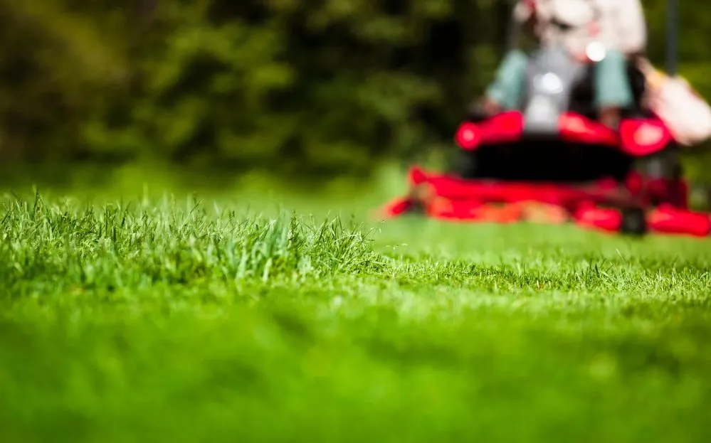 Professional lawn care service in White Bear Lake, MN - A & E Commercial Services