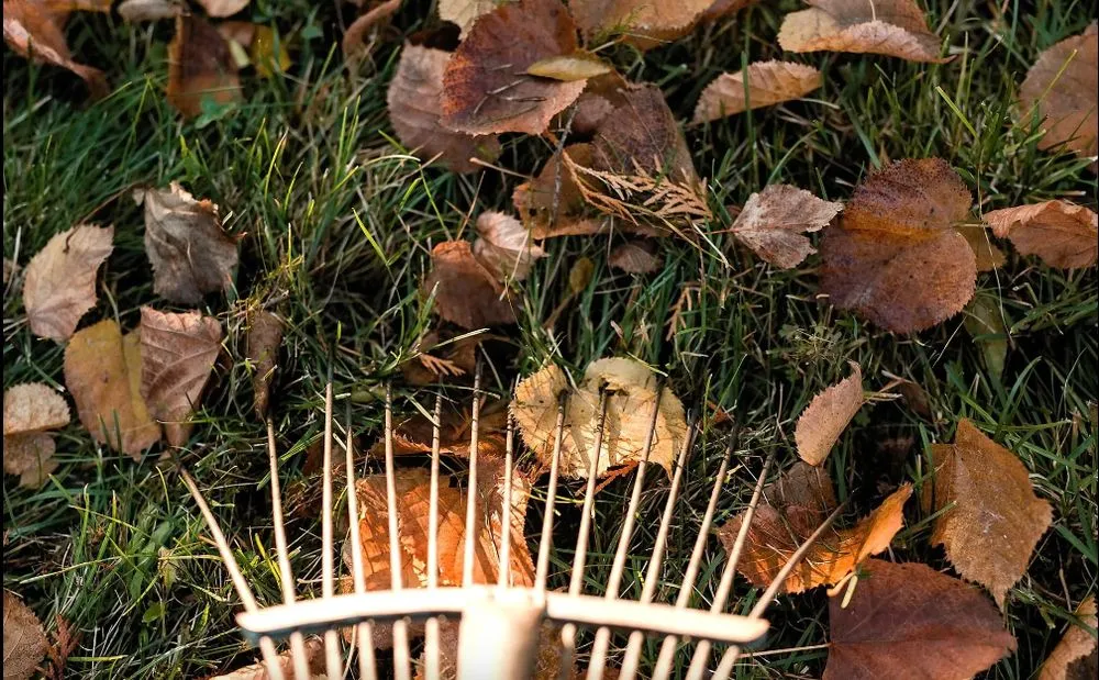 Top-rated residential landscaping for homes in White Bear Lake, MN by A & E Commercial Services