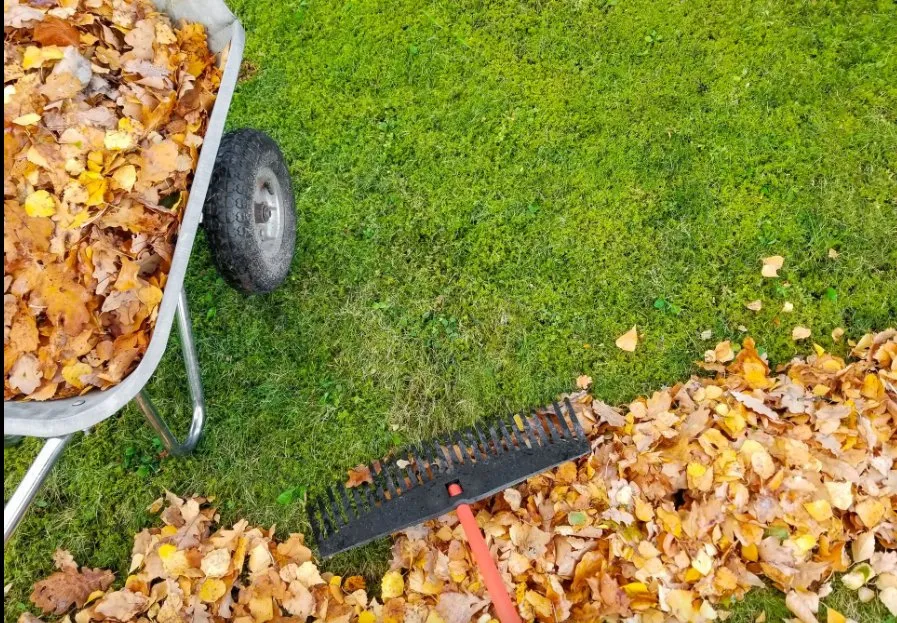 Trusted landscape design with custom design in White Bear Lake, MN by A & E Commercial Services