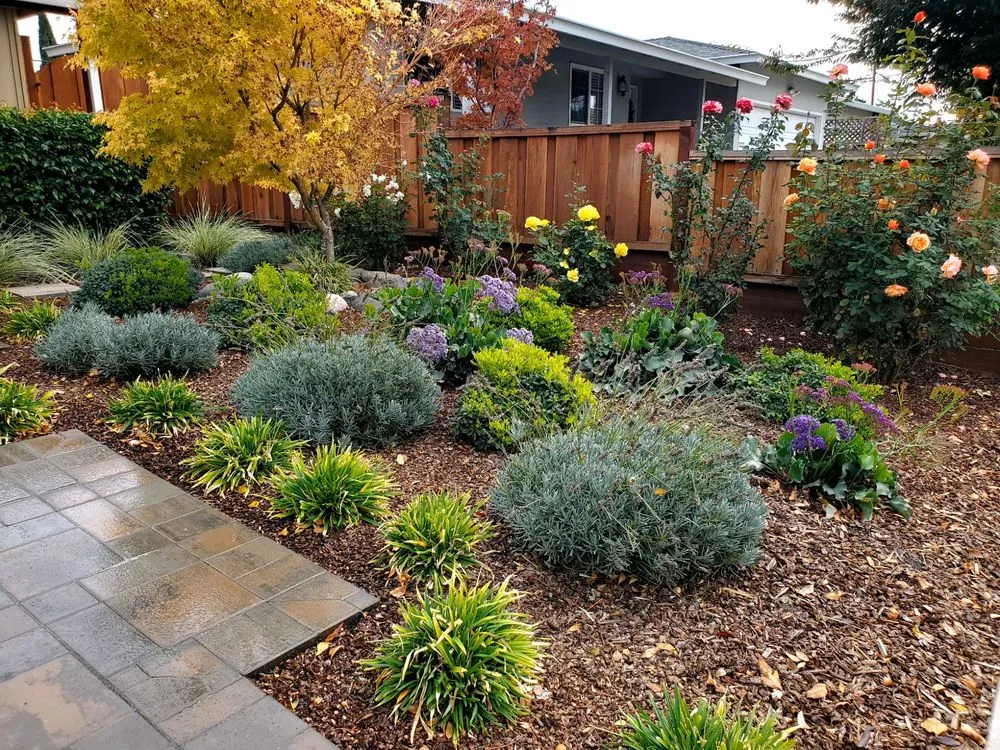 Professional yard cleanup service with custom design across Los Gatos, CA - A & E Landscapes