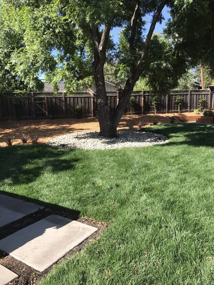 Affordable landscape installation in Los Gatos, CA by A & E Landscapes