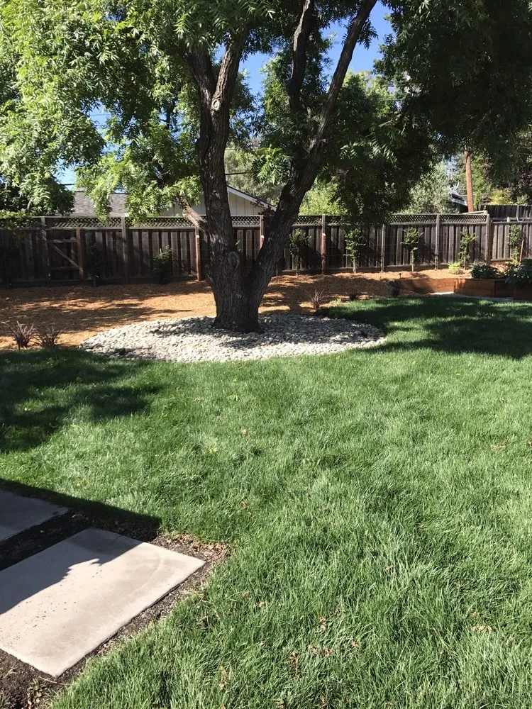Expert outdoor landscaping experts serving Los Gatos, CA - A & E Landscapes