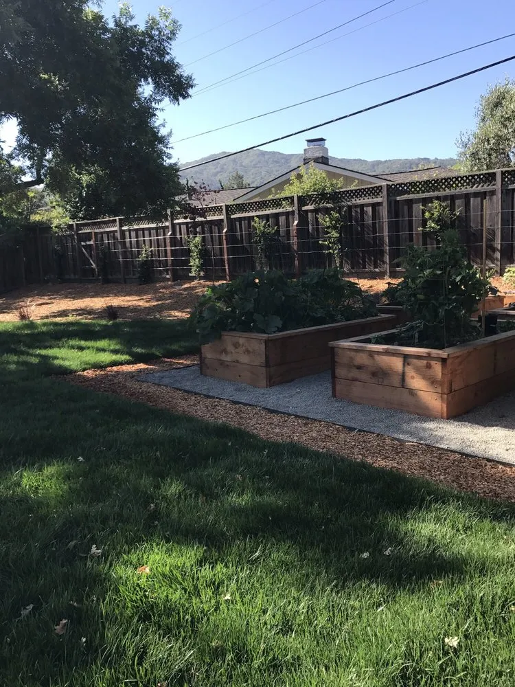 Trusted outdoor landscaping for beautiful yards in Los Gatos, CA by A & E Landscapes