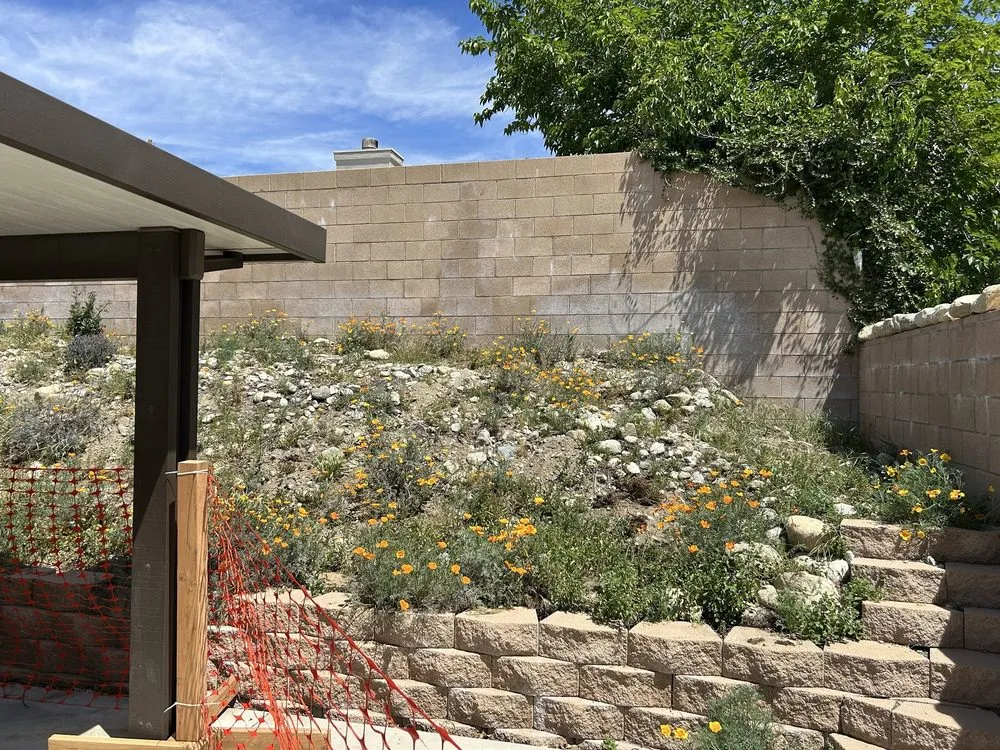 Professional landscape installation experts serving Fontana, CA - A & E Landscaping and Gardening