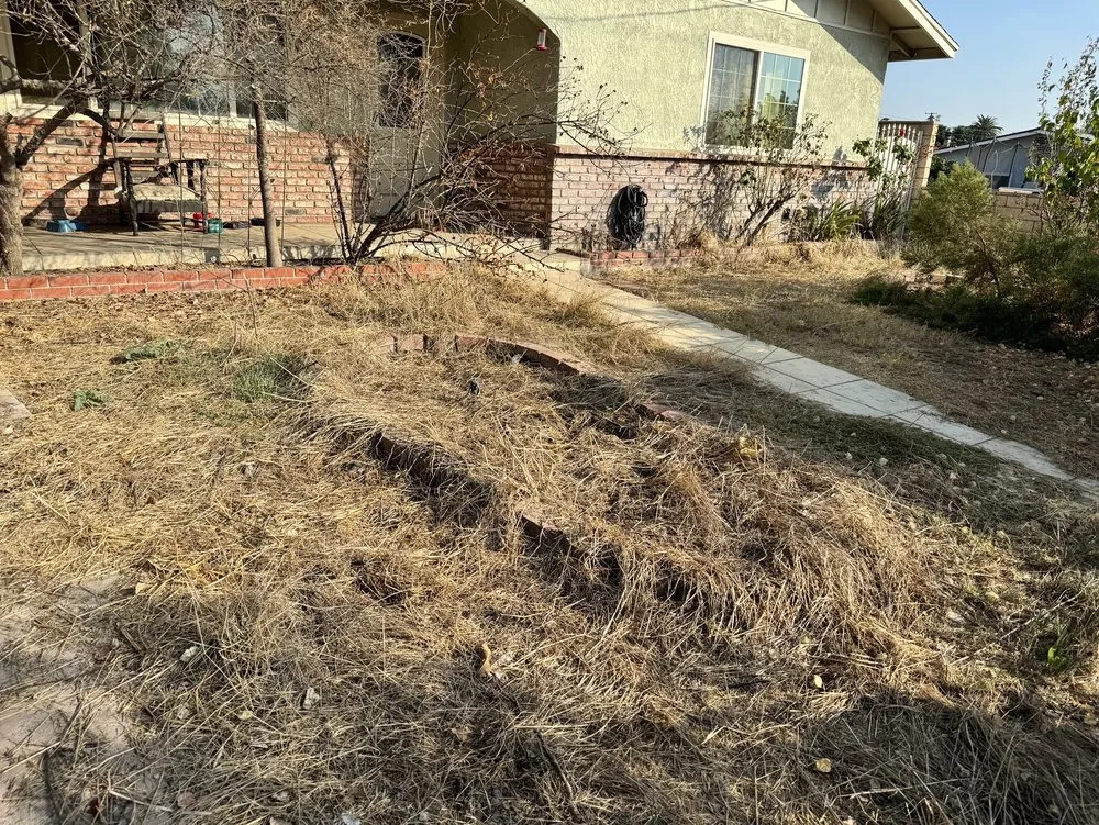 Professional landscaping services for homes across Fontana, CA - A & E Landscaping and Gardening