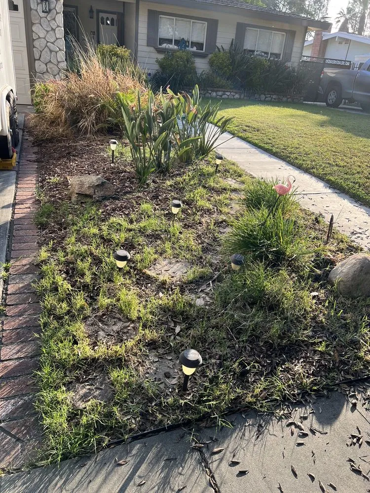 Trusted lawn mowing service in Fontana, CA by A & E Landscaping and Gardening