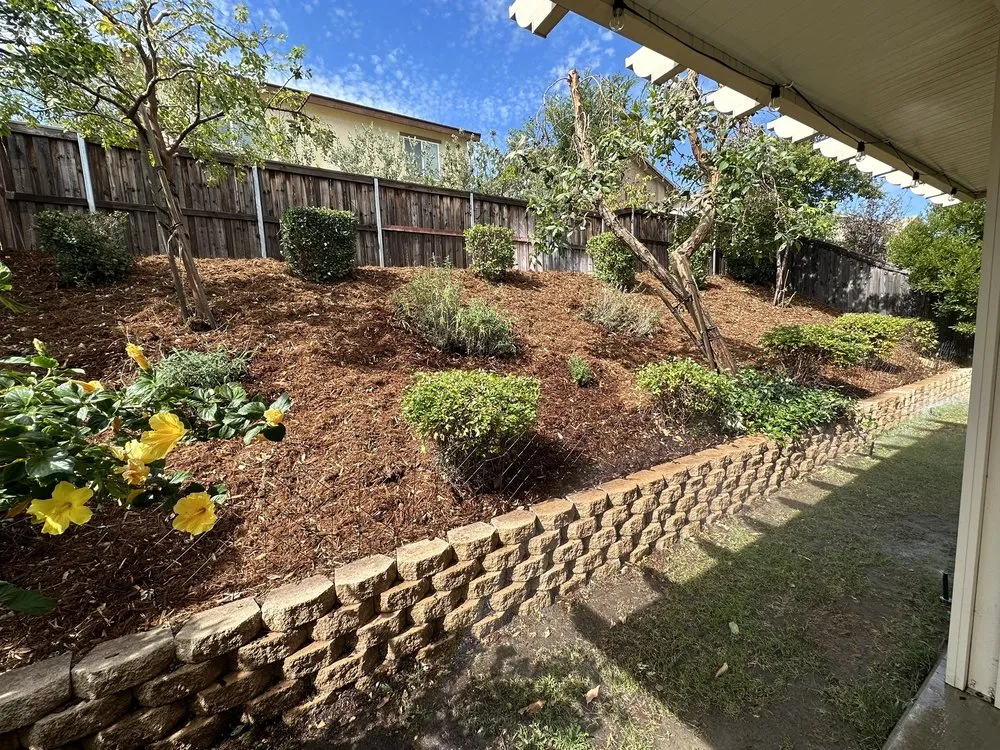 Reliable yard maintenance for homes in Fontana, CA by A & E Landscaping and Gardening