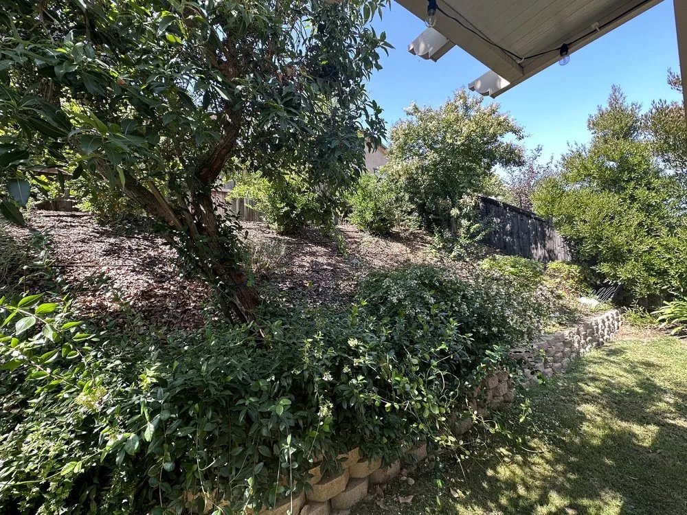 Trusted outdoor landscaping with custom design across Fontana, CA - A & E Landscaping and Gardening