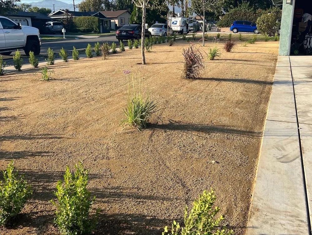 Custom landscaping services in Fontana, CA by A & E Landscaping and Gardening