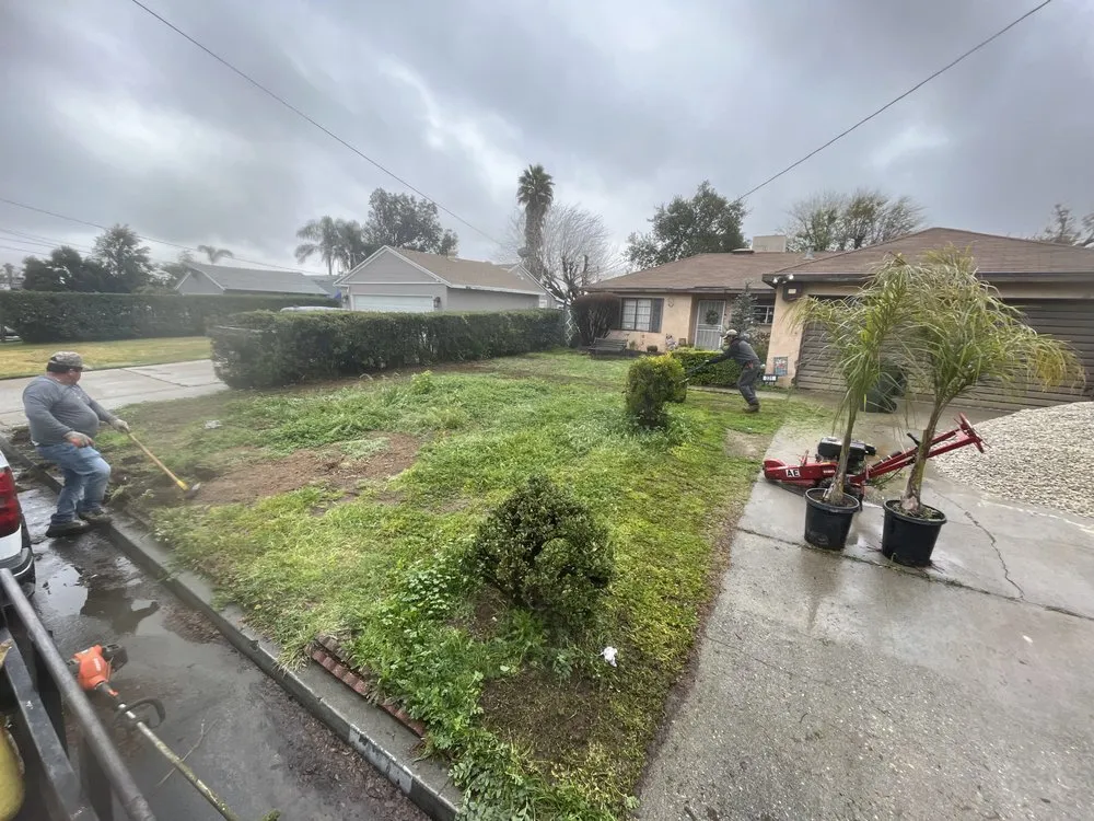 Reliable lawn care service in Fontana, CA by A & E Landscaping and Gardening