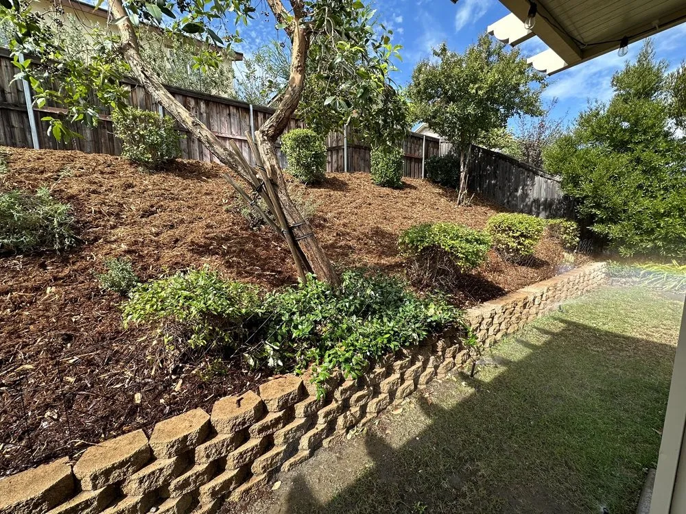 Custom outdoor landscaping with custom design across Fontana, CA - A & E Landscaping and Gardening