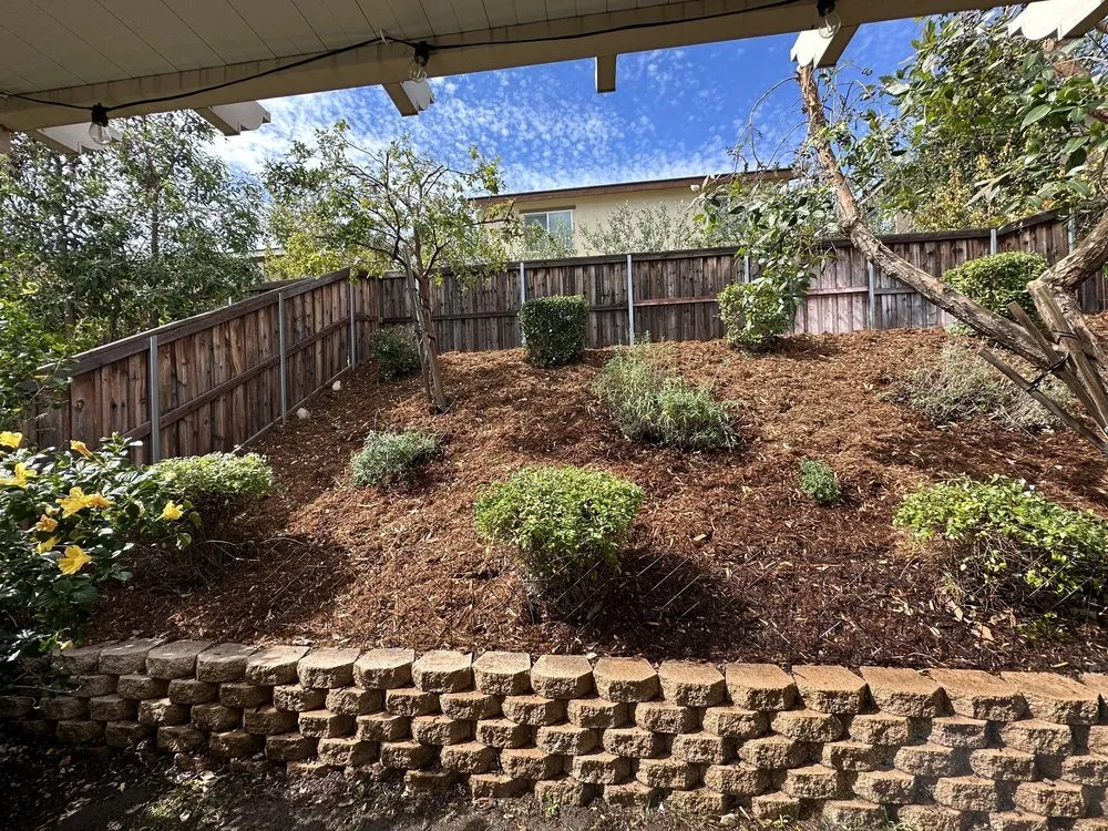 Custom residential landscaping for outdoor upgrades in Fontana, CA by A & E Landscaping and Gardening