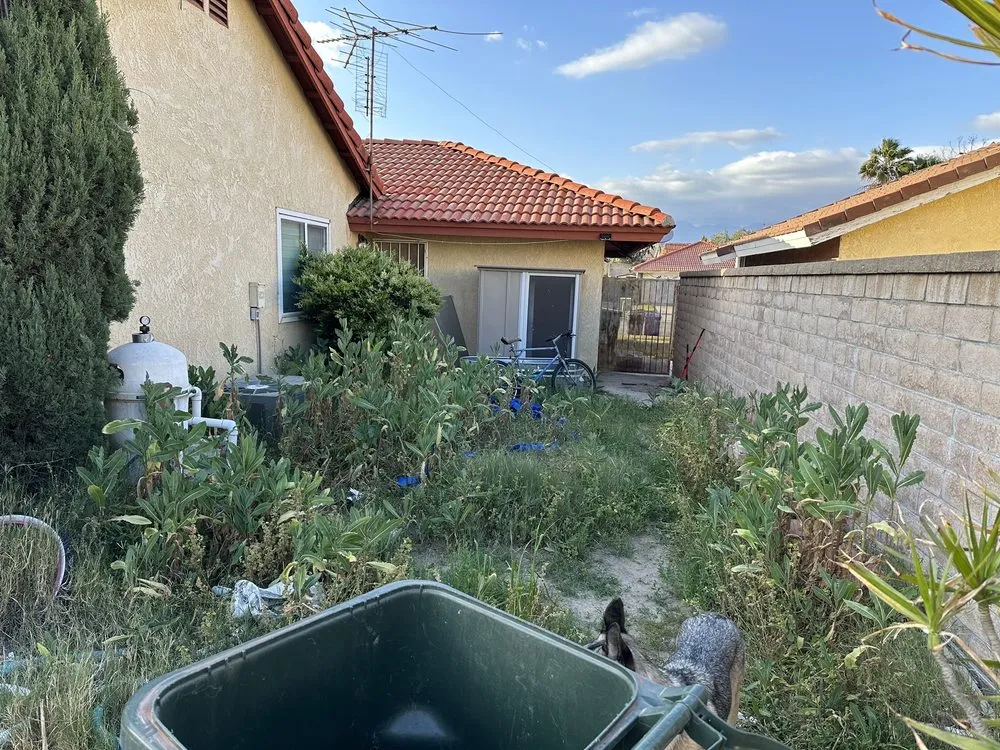 Trusted garden landscaping experts serving Fontana, CA - A & E Landscaping and Gardening