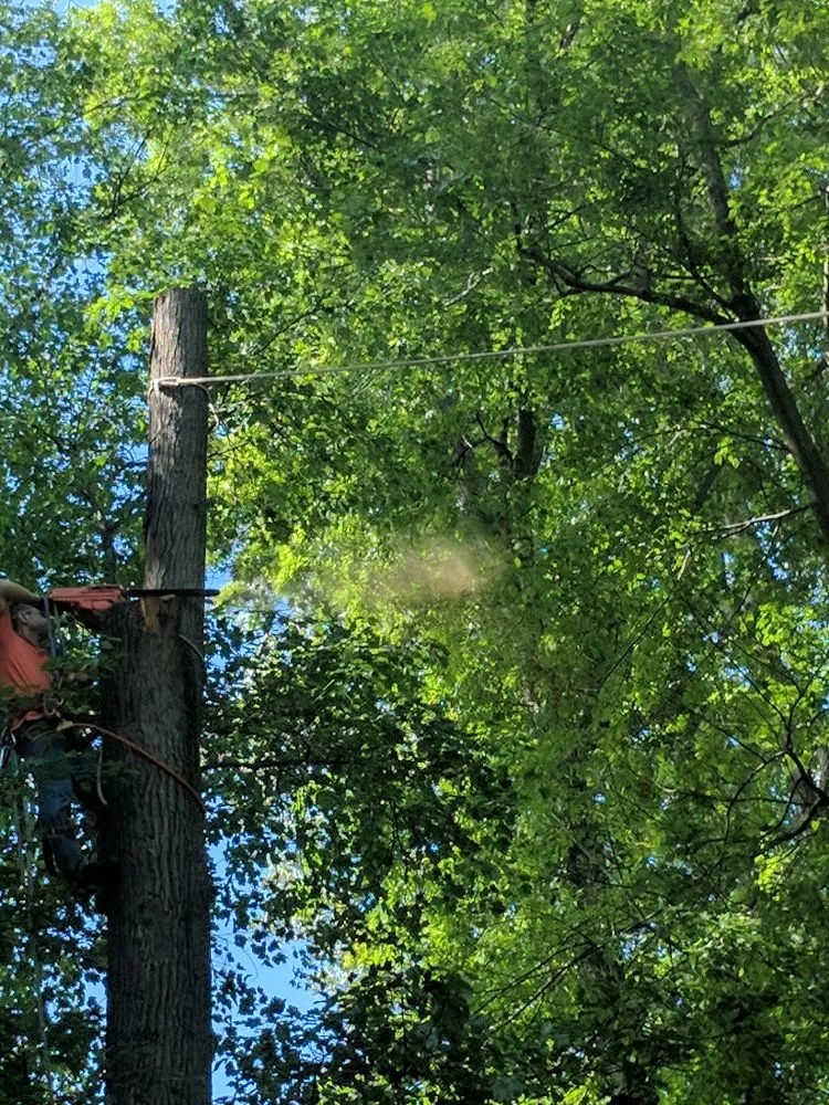 Top-rated lawn mowing service near you in Prince Frederick, MD by A & E Landscaping