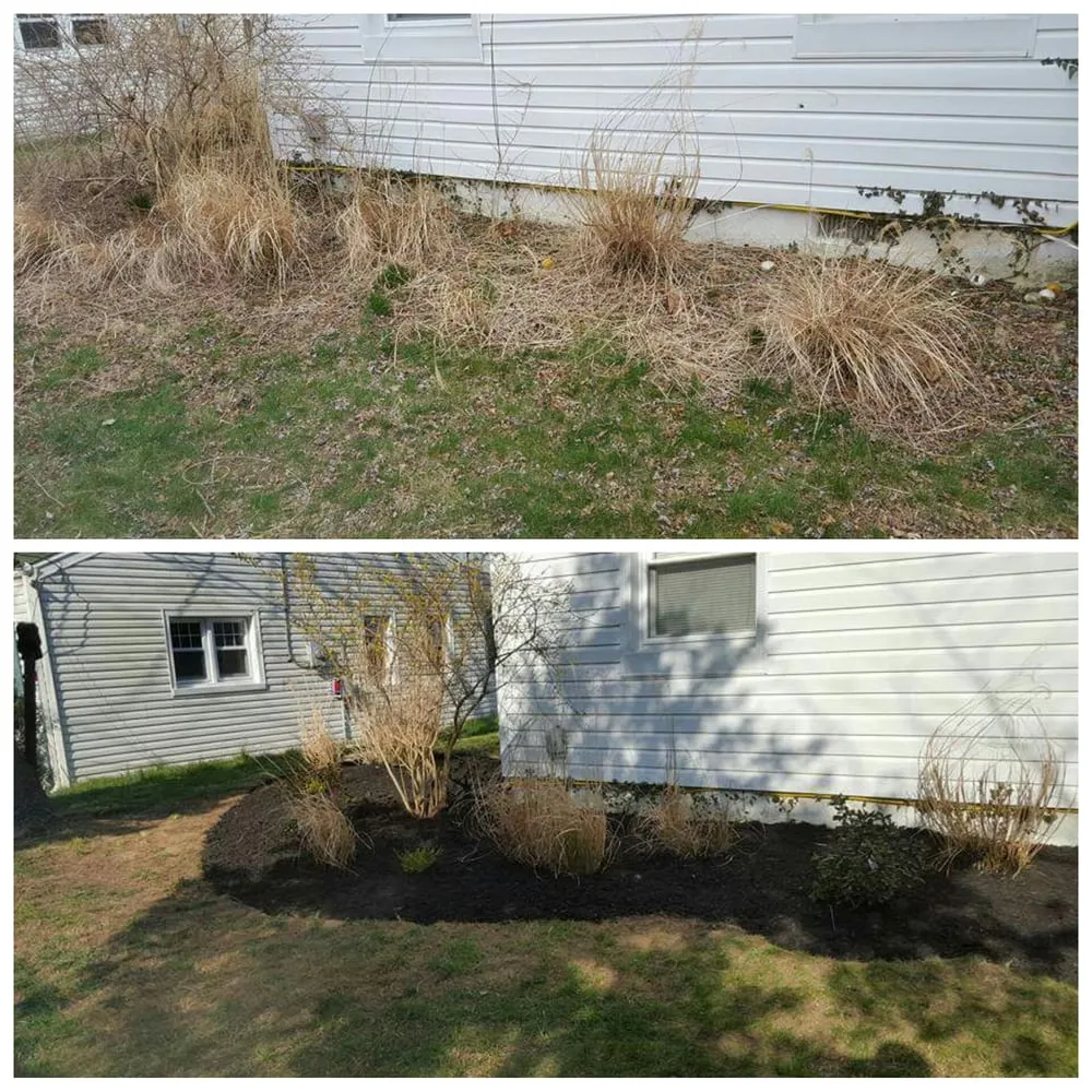 Expert lawn care service experts serving Prince Frederick, MD - A & E Landscaping