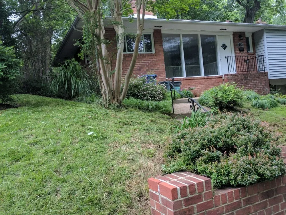 Trusted landscaping services in Prince Frederick, MD - A & E Landscaping