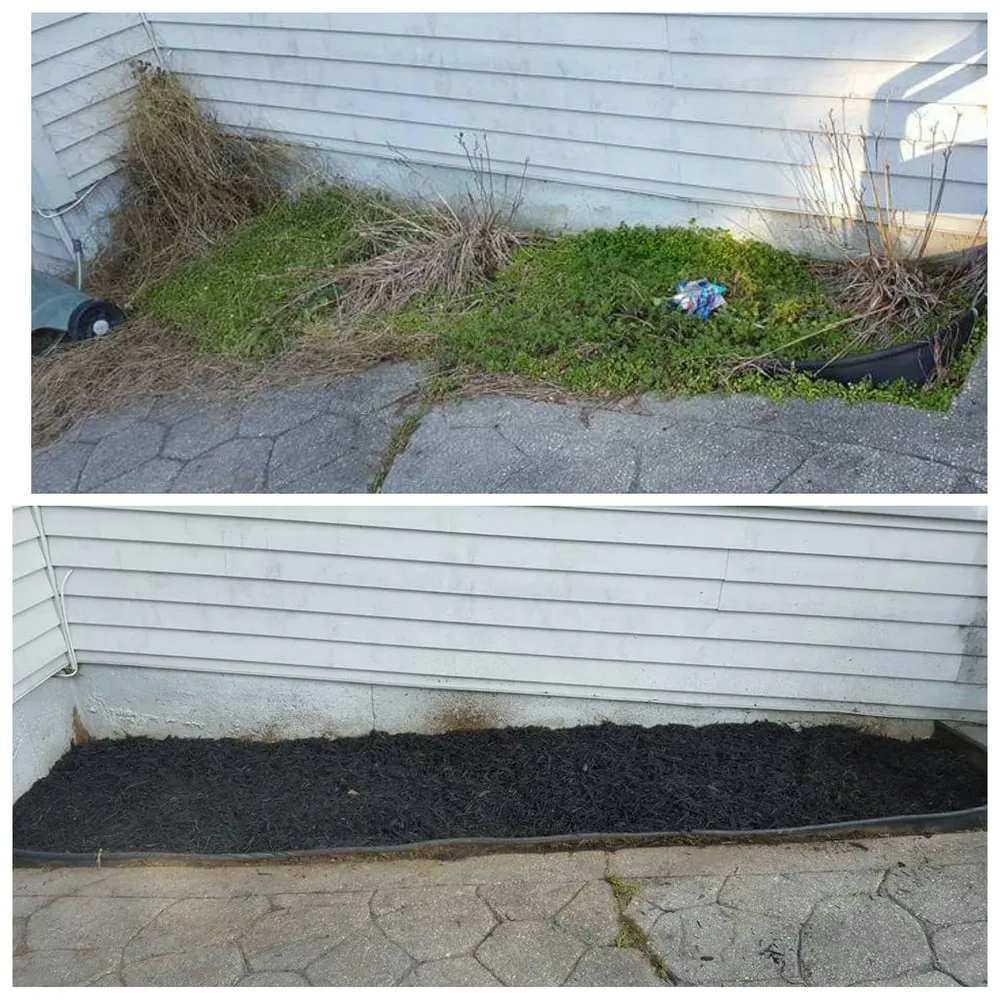 Expert lawn care service in Prince Frederick, MD - A & E Landscaping