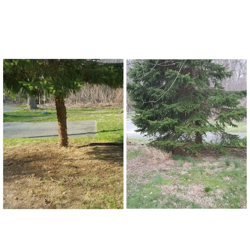 Top-rated lawn mowing service for homes in Prince Frederick, MD by A & E Landscaping