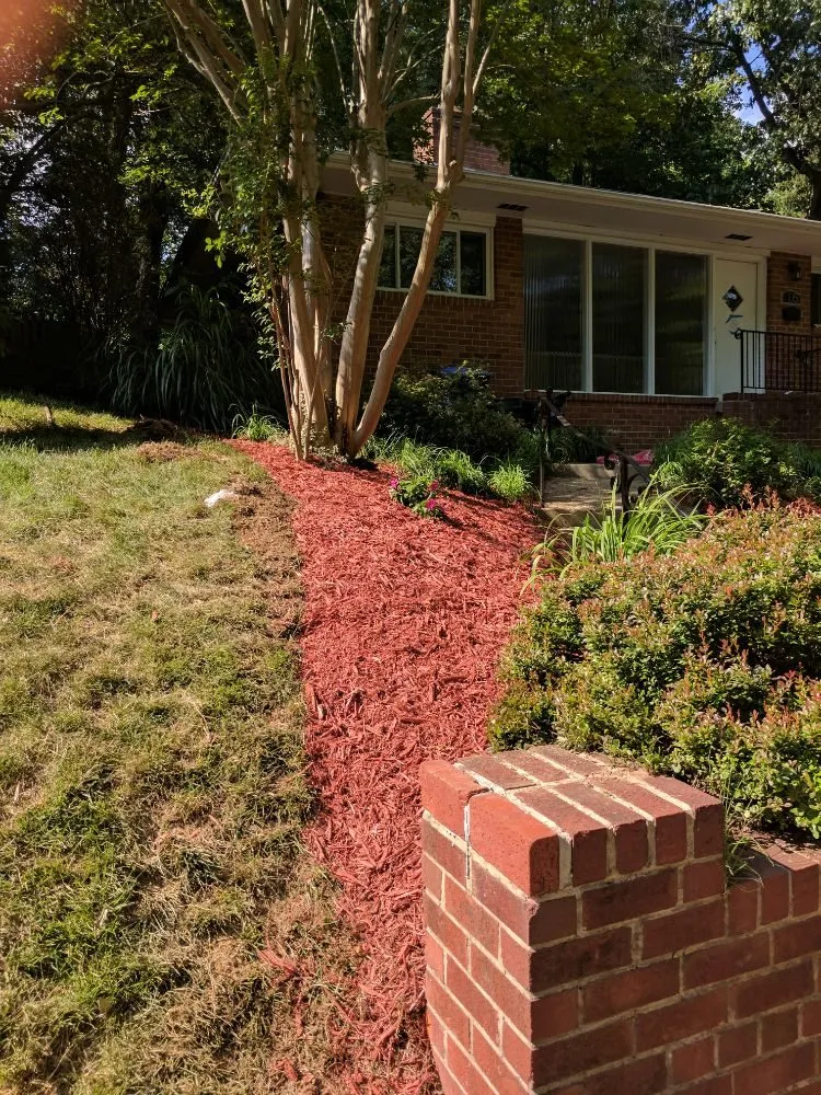 Expert lawn care service in Prince Frederick, MD - A & E Landscaping