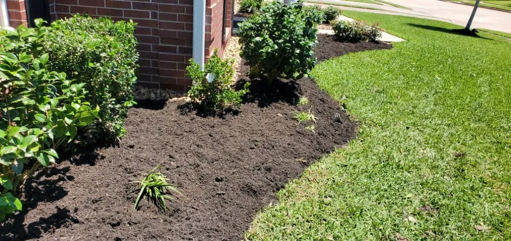 Top-rated landscape installation in Beaumont, TX - A & E Lawn and Landscaping