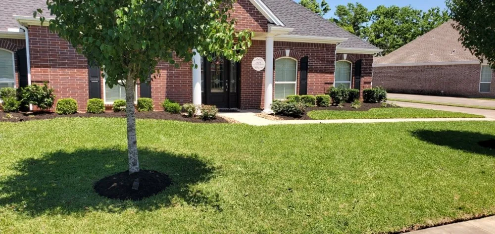 Expert landscape installation near you across Beaumont, TX - A & E Lawn and Landscaping