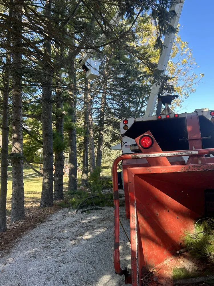 Professional lawn mowing service for outdoor upgrades across Manitowoc, WI - A & E Lawn Snow And Tree