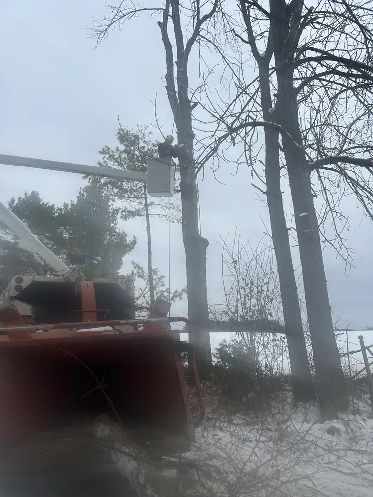 Expert outdoor landscaping experts serving Manitowoc, WI - A & E Lawn Snow And Tree