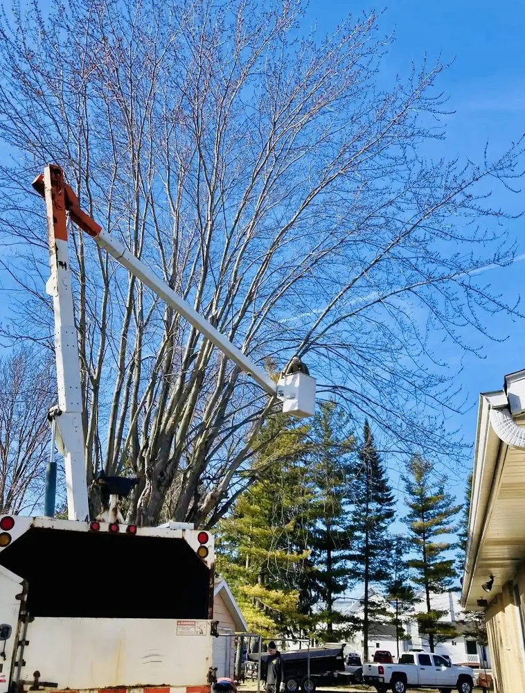 Custom landscape design for beautiful yards in Manitowoc, WI by A & E Lawn Snow And Tree