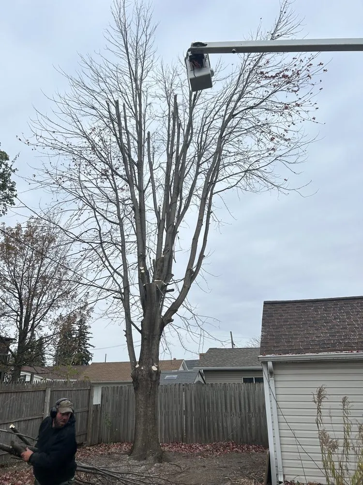 Custom lawn care service for beautiful yards in Manitowoc, WI by A & E Lawn Snow And Tree