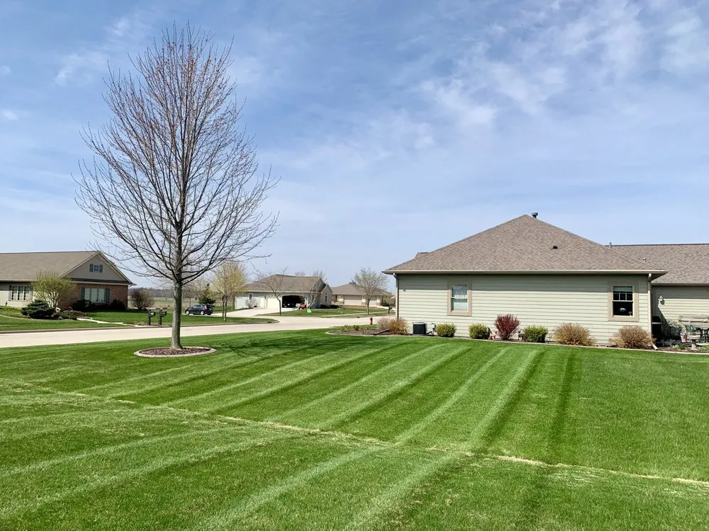 Reliable yard cleanup service experts serving Manitowoc, WI - A & E Lawn Snow And Tree