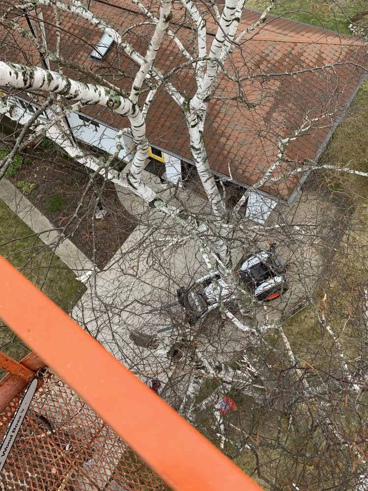 Local outdoor landscaping experts serving Manitowoc, WI - A & E Lawn Snow And Tree