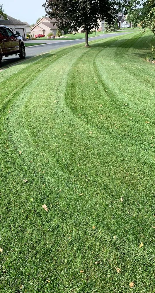Local yard maintenance in Saint Paul, MN by A & E Mowing