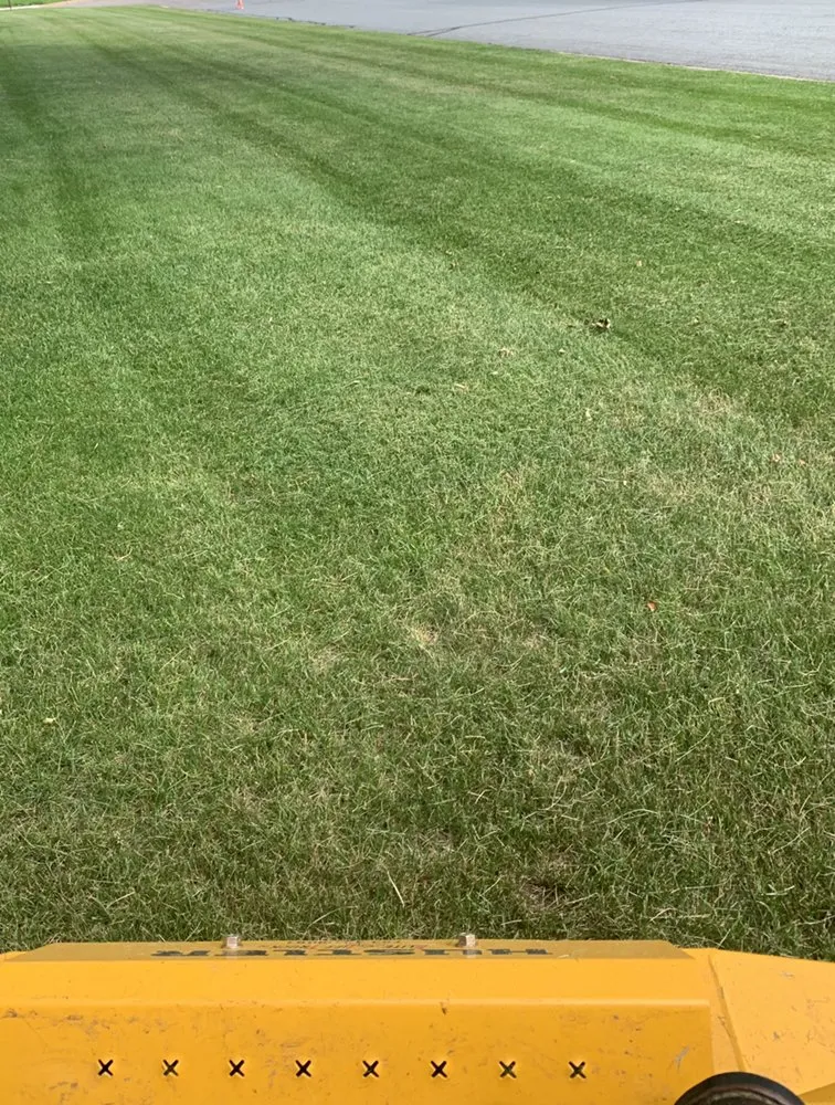 Professional landscape design in Saint Paul, MN by A & E Mowing