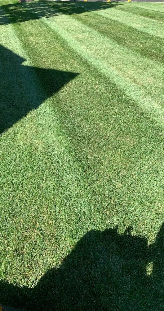 Custom lawn care service for outdoor upgrades in Saint Paul, MN by A & E Mowing