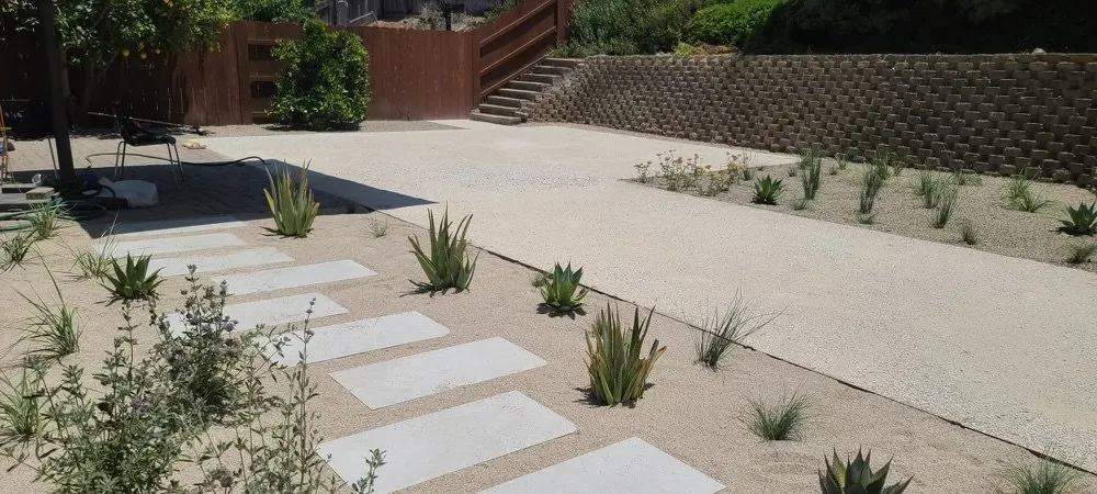 Reliable yard cleanup service in Escondido, CA by A & G Landscape