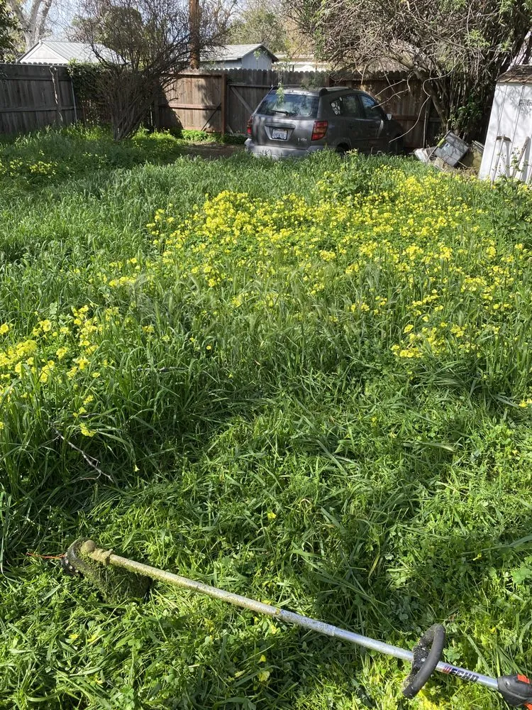 Custom landscape installation for residential properties across Sacramento, CA - A & G Landscaping