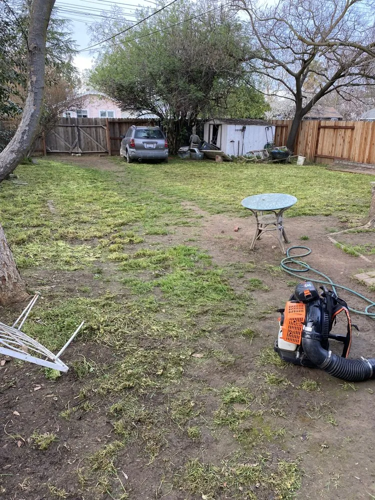 Professional landscaping services for outdoor upgrades across Sacramento, CA - A & G Landscaping