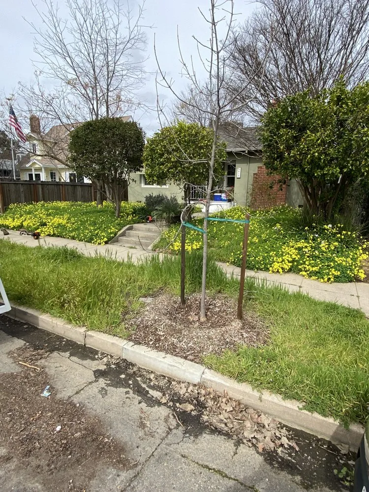 Expert landscape installation in Sacramento, CA - A & G Landscaping