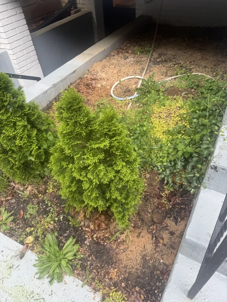 Professional yard cleanup service for year-round maintenance across Washington DC, DC - A & G Transportation and Hauling