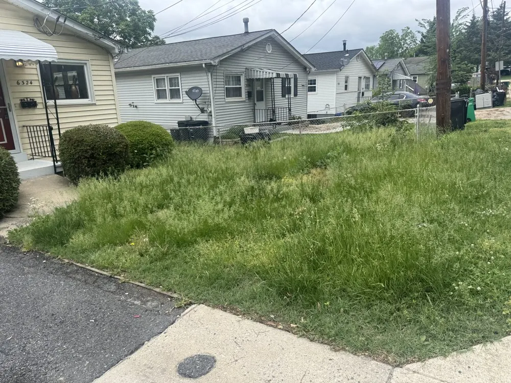 Affordable garden landscaping experts serving Washington DC, DC - A & G Transportation and Hauling