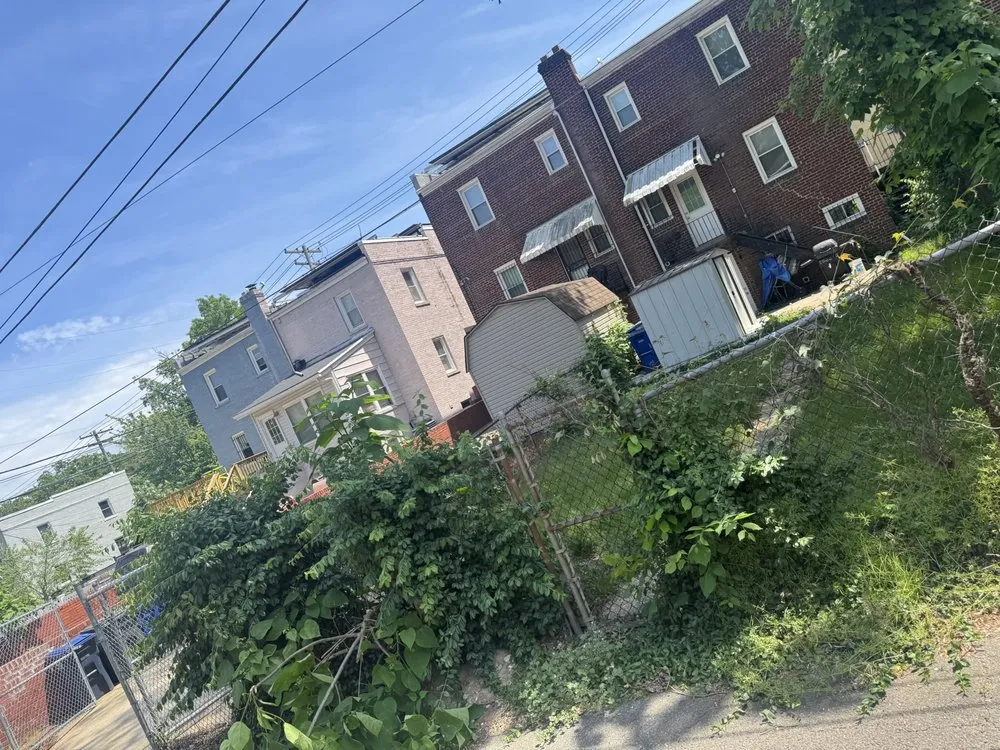 Custom yard cleanup service near you in Washington DC, DC by A & G Transportation and Hauling