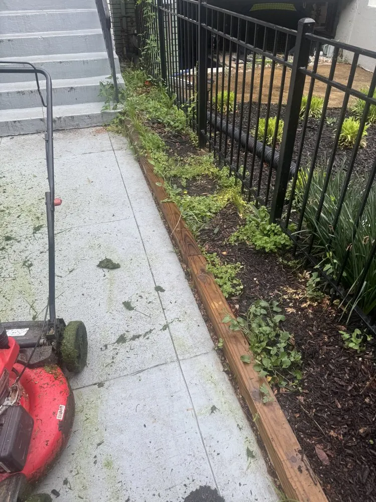 Top-rated yard maintenance in Washington DC, DC - A & G Transportation and Hauling