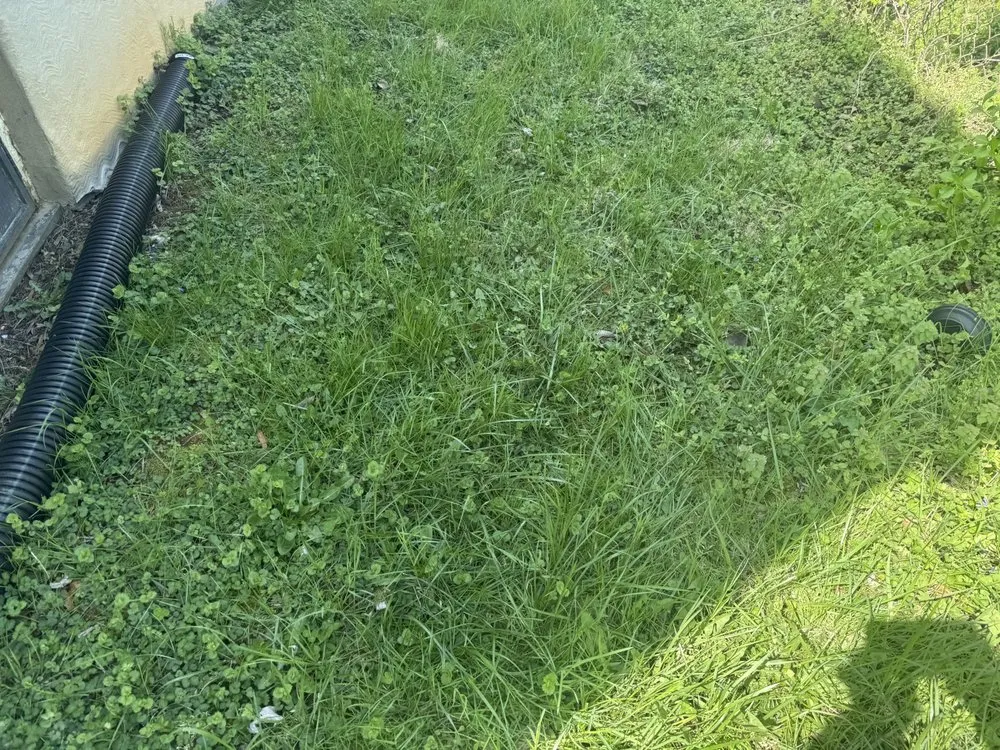 Professional landscape design in Washington DC, DC by A & G Transportation and Hauling