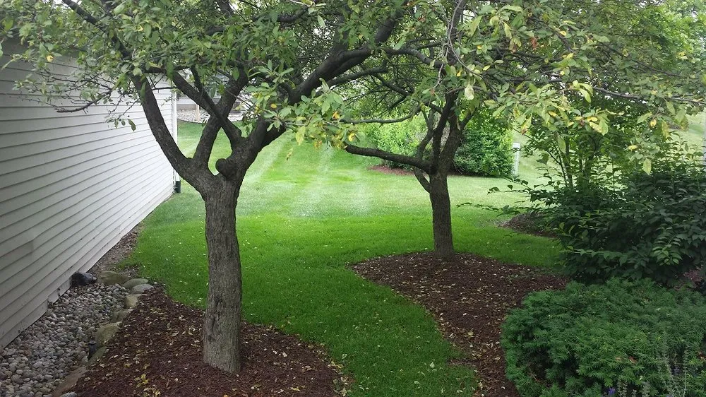 Reliable lawn care service for outdoor upgrades across Saline, MI - A & H Lawn Service