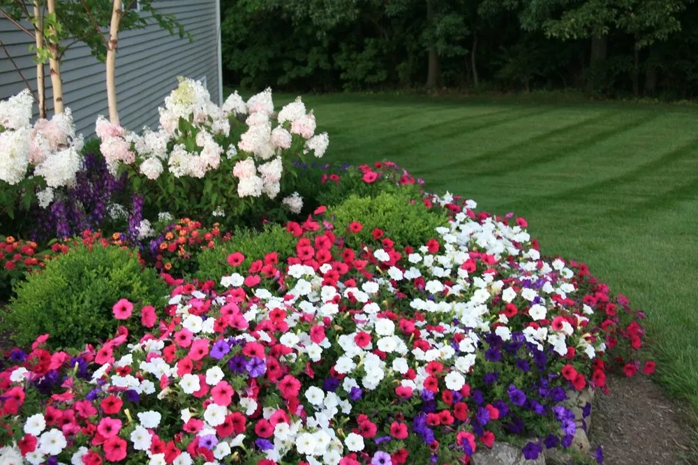 Top-rated landscaping services for homes in Saline, MI by A & H Lawn Service